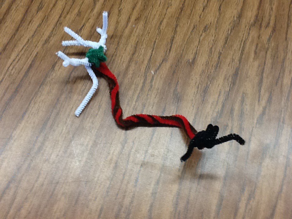 <a href="/GoshenCenterSch/">GoshenCenterSchool</a> Neurons made with pipe cleaners, including dendrites, soma, axon,myelin sheath &amp; synaptic terminal.