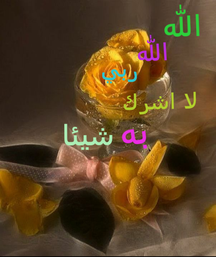 afkar00 tweet picture