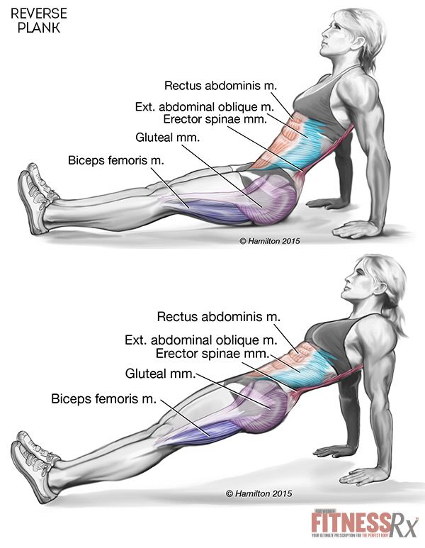 plank exercise diagram