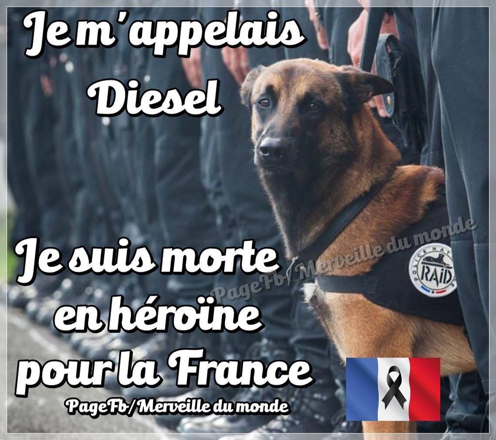 Nathfrenchie's tweet photo. https://t.co/6n2V3O1M7B