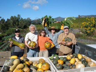 PacificaPost's tweet photo. This week's harvest from Pacifica's #Organic Garden! https://t.co/wOzGhh79VZ @EdibleSB @FoodbankSBC @sbview https://t.co/OlaCLg4TF4