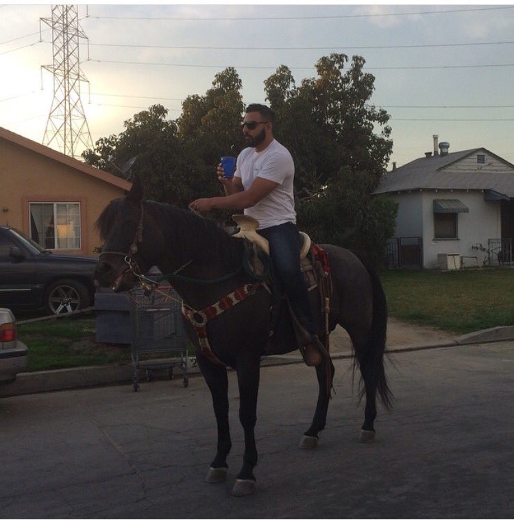 Rig0bert's tweet photo. #wetbackwednesday #ridingthroughthe6withmyhorse https://t.co/8YAdObU55u