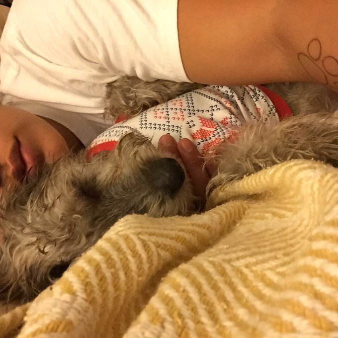 How we keep warm on chilly nights. https://t.co/ESnCU8D065<a href="/tag/mvsales"class="tags"><span>#mvsales</span></a>