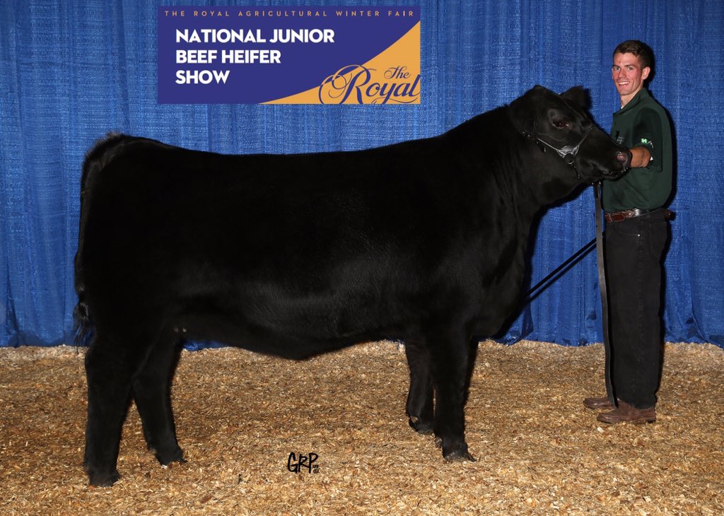 K_Ormiston's tweet photo. @llbangus LLB Rose at #Rawf15 #NJBHS #SouthviewFarms https://t.co/Cu23T6eL8Z