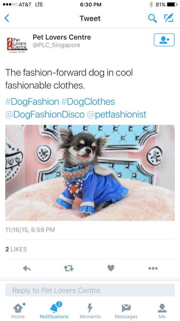 Dog Fashion Disco (DogFashionDisco) Twitter
