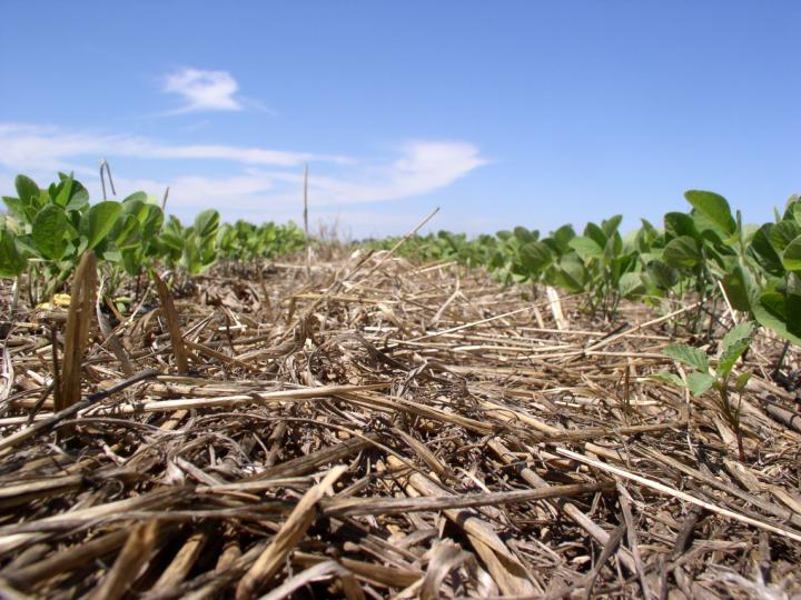 Tom CarrEllison (TCarrEllison) Twitter