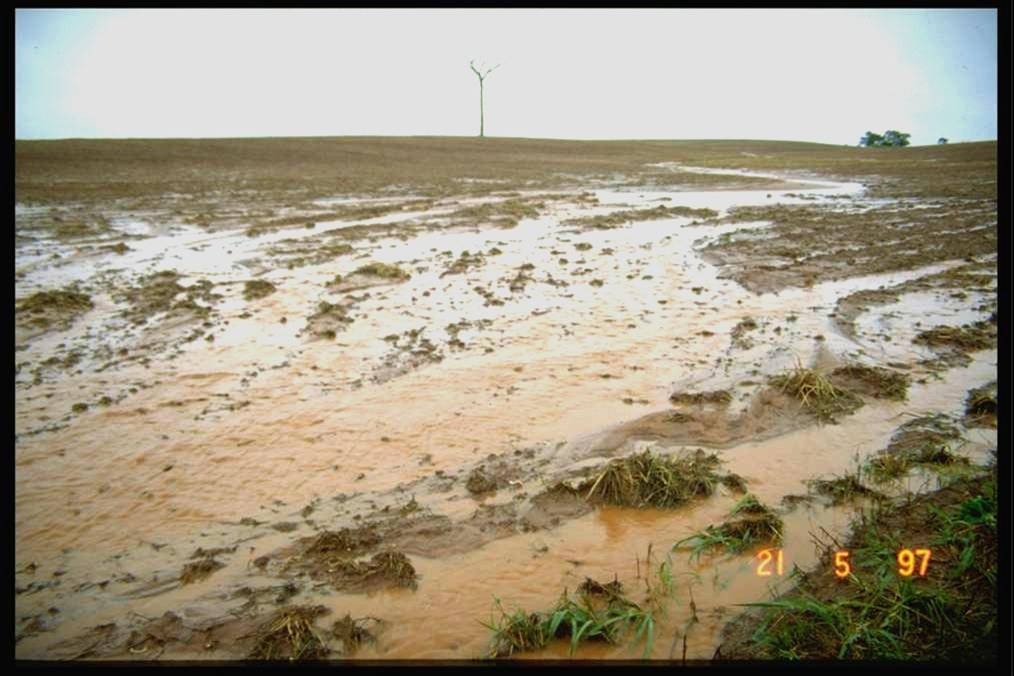 Tom CarrEllison (TCarrEllison) Twitter