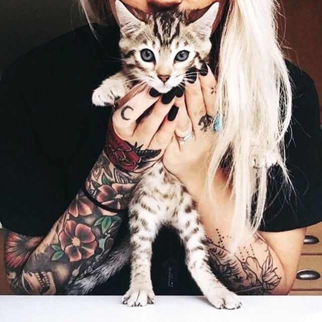 tattoo_animal tweet picture