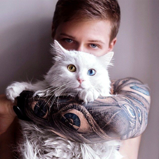 tattoo_animal tweet picture