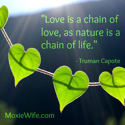 SDVR2015's tweet image. LOVE is a chain of LOVE, as NATURE is a chain of LIFE..
