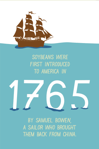 Factoidals's tweet image. Soybean facts #soybeans #farming #crops #soy #soywax