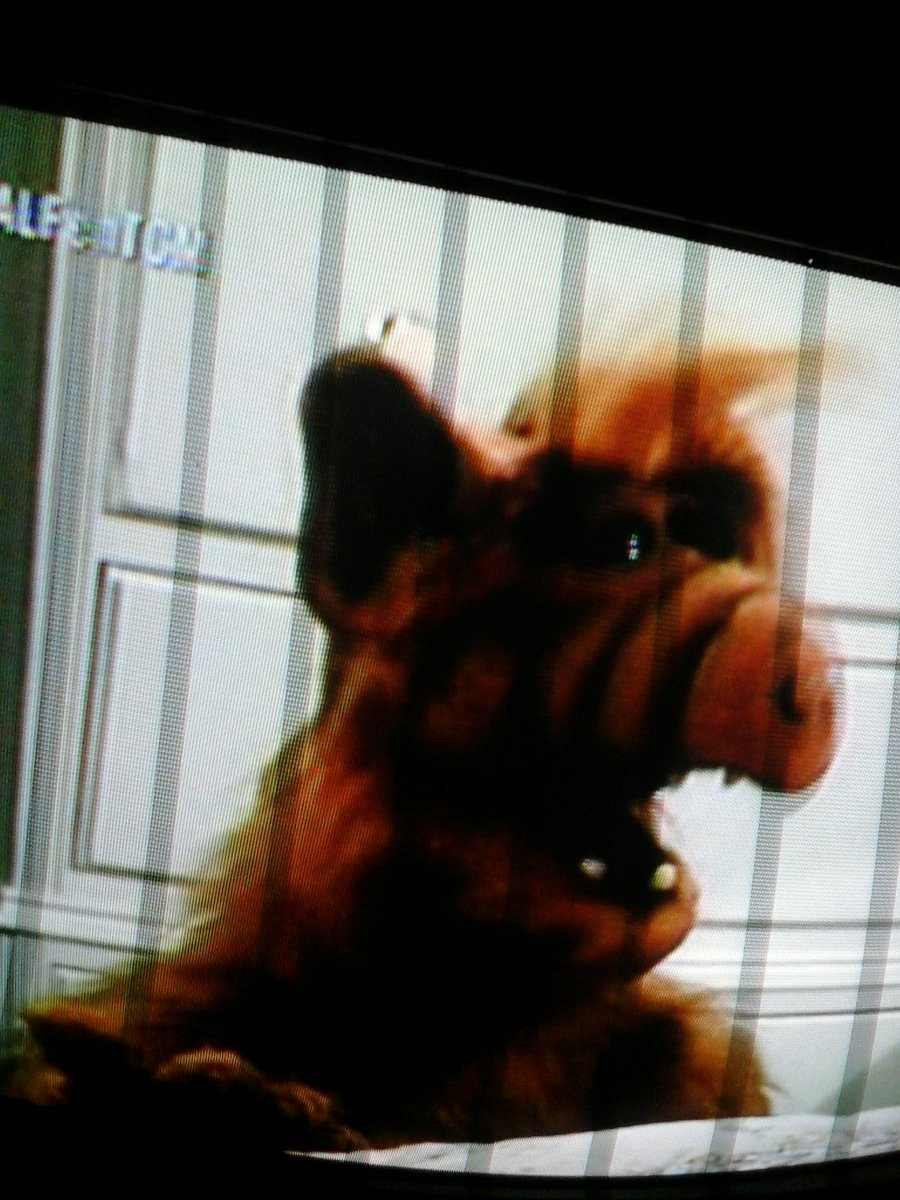 Paorendon's tweet photo. #Alf en #TCM. Que bonito. #ALFenTCM https://t.co/Tdgwb6UHsP