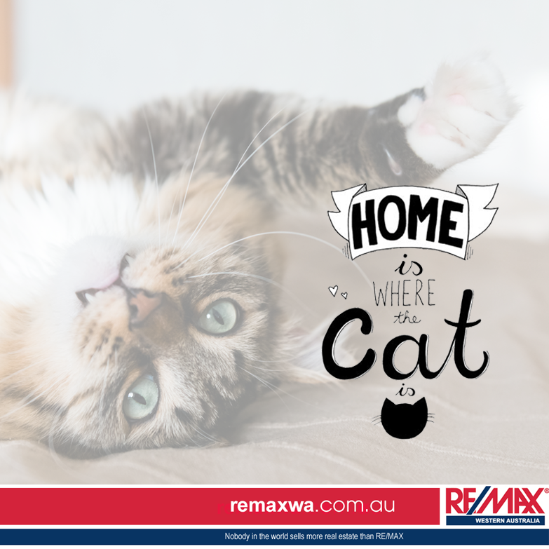 remaxwa's tweet photo. When you have pets, it can be hard to find property. Here are a few tips > https://t.co/Kl1GAI2WxR #pets #renting https://t.co/vlAw2S3q1B