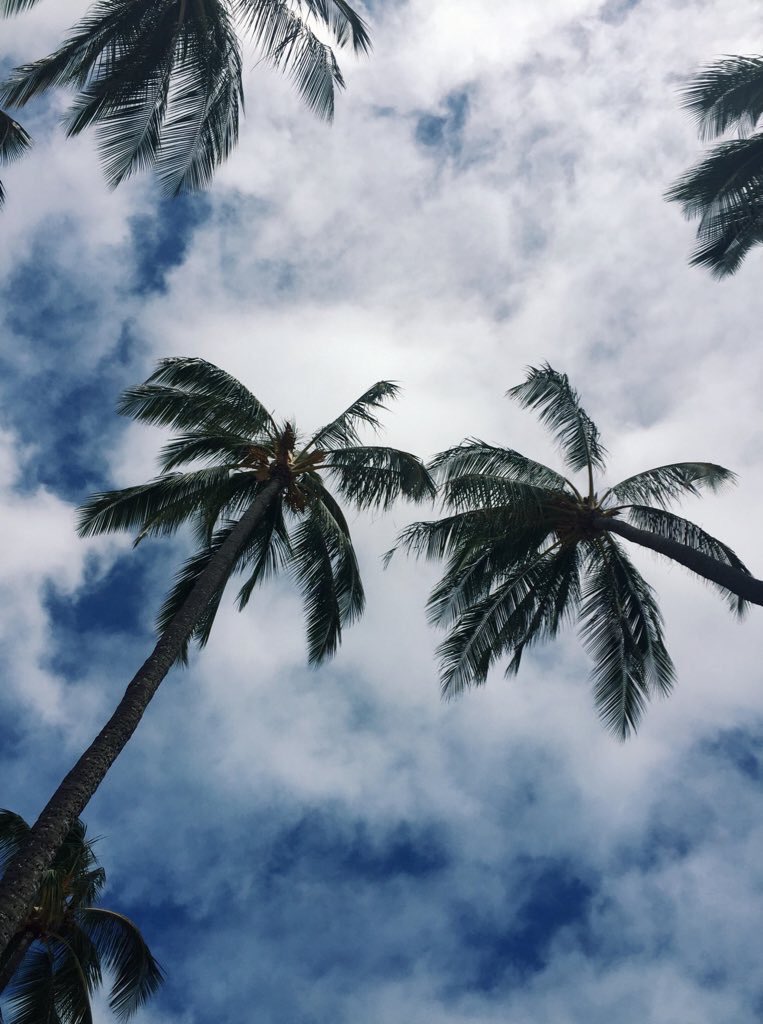 JenessaOfficial's tweet photo. I know God will not give me anything I can't handle, I just wish that he didn't trust me so much. #BadBadWeek 😔 https://t.co/rroCYjdxZZ
