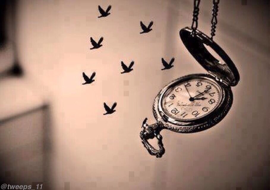 77_r7moon's tweet photo. #اشياء_لاترجع

 عقارب الساعه كالطيور المهاجره 
 لا تنتظرها نفسها بل انتظر غيرها https://t.co/9UdmVMgDyB