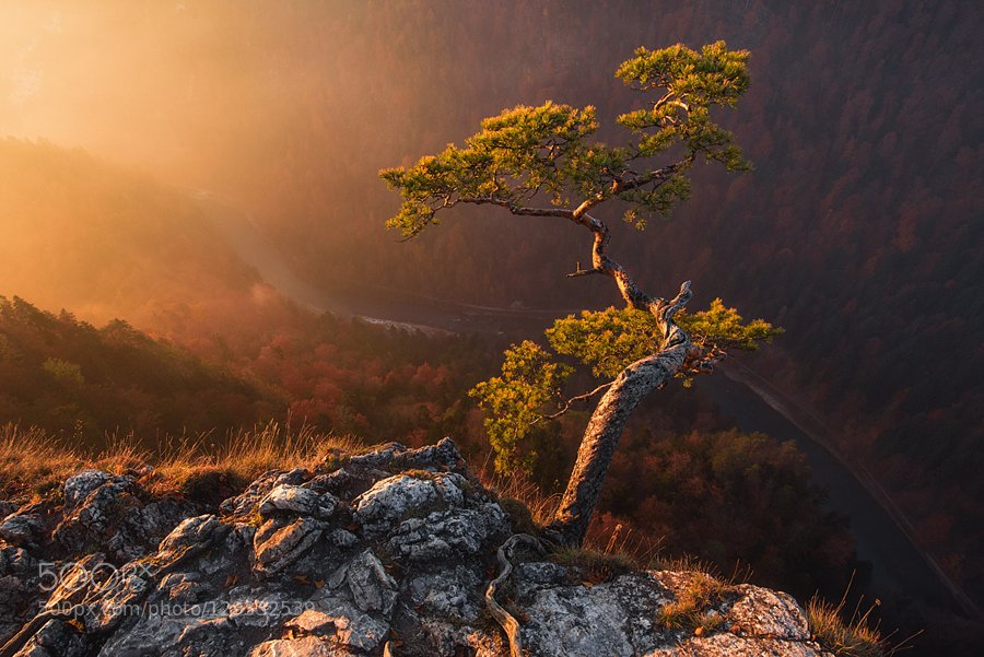 ZaibatsuPlanet tweet picture