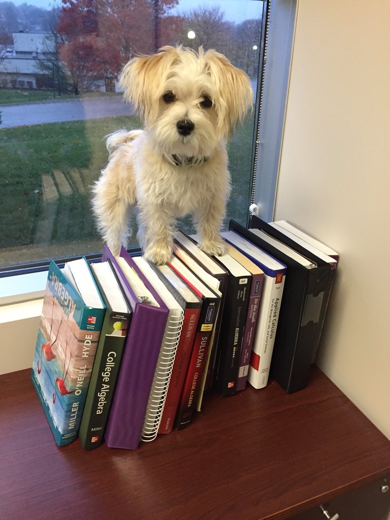 ProfBrehm's tweet image. From King of Math to post-surgical puppy. Sorry about the rough day #OlivertheMathDog #MathX