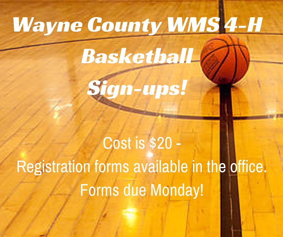 waynemiddle's tweet photo. Basketball sign-ups happening NOW! https://t.co/F3IUm3SGTN