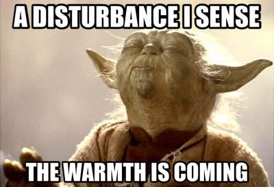 Bellarmine CSP tweet media