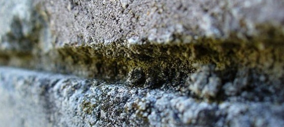 VCleanMD's tweet image. 106 Tips on Mold Removal, Prevention, &amp;amp; Tips | Moldman USA - bit.ly/1SF9TN9