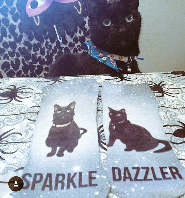 Bakdrop's tweet photo. Check out the soxiness of this pair for A Wing and a Prayer Animal Rescue. #bakdrop #cats #socks https://t.co/9ai457Tp8l