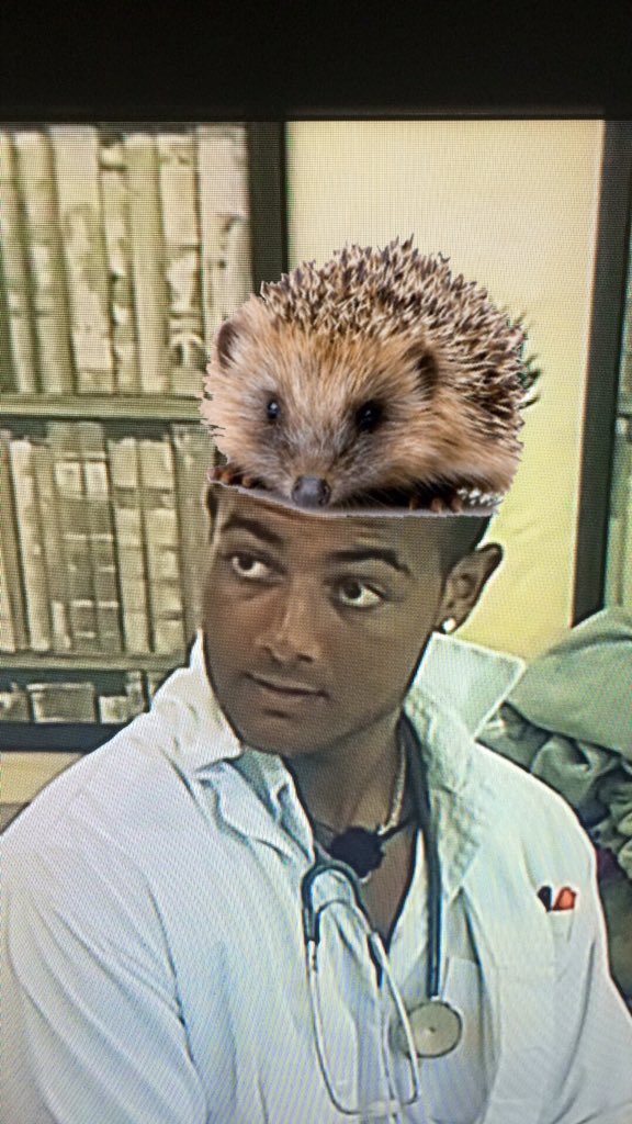 Embedded image permalink