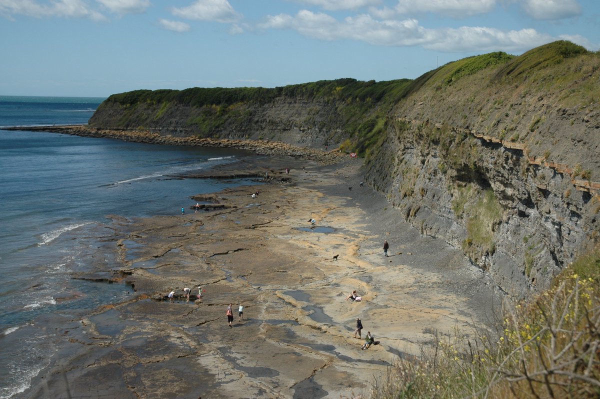 karsteneig's tweet photo. Q: Where does oil come from? 
A: Kimmeridge Bay, where rocks burn!
https://t.co/rKWFAkVlBa https://t.co/ibM5m67ASv