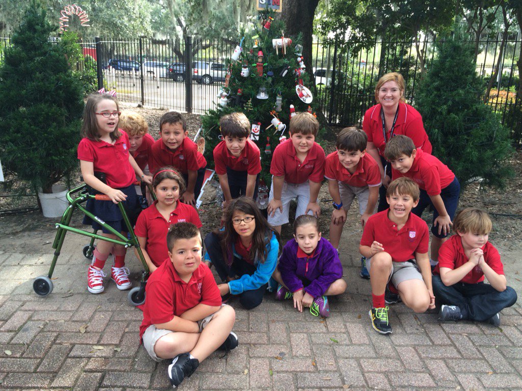 epas_stm's tweet photo. STM Christmas Tree in City Park https://t.co/q201VOjR30