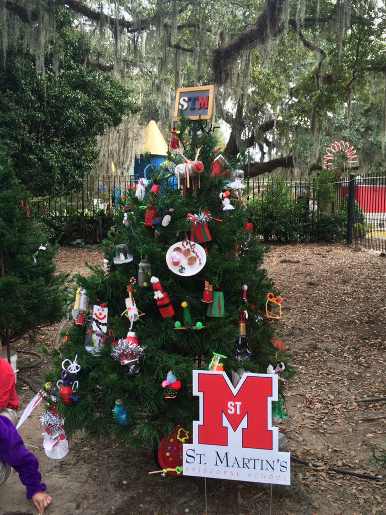 epas_stm's tweet photo. STM Christmas Tree in City Park https://t.co/q201VOjR30