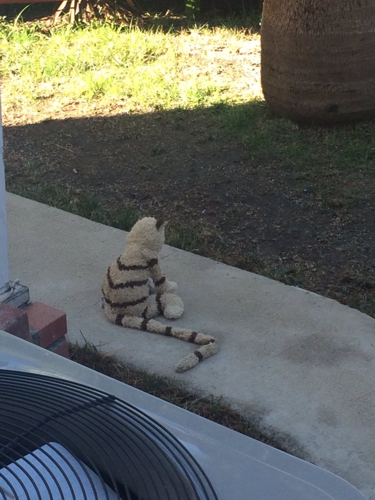 johnxperry's tweet photo. Found a way to keep birds from eating my lawn seed, my grand daughters stuffed cat standing guard! https://t.co/yP2E87TQJ3