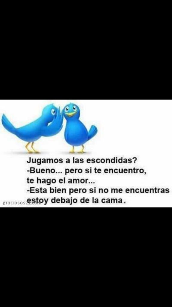 Alfredo tweet media