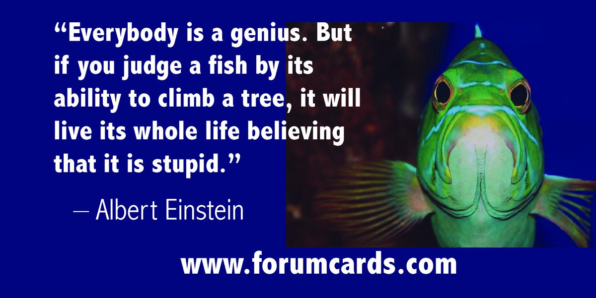 Forumcards's tweet photo. #AlbertEinstein #Genius #strengths #BelievingInSelf #Success #forumcards https://t.co/r9gsw96n3x