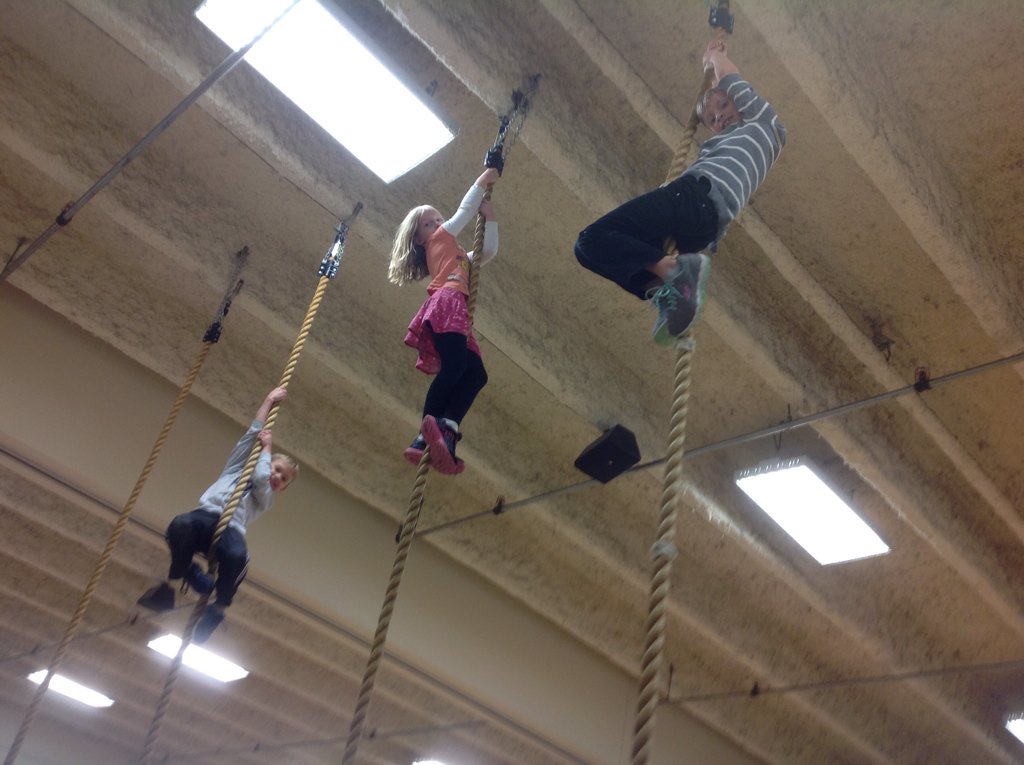 BirchviewPE's tweet photo. Climbing ropes, we have lots of monkeys and King Kongs https://t.co/Gx3Usb3e5T