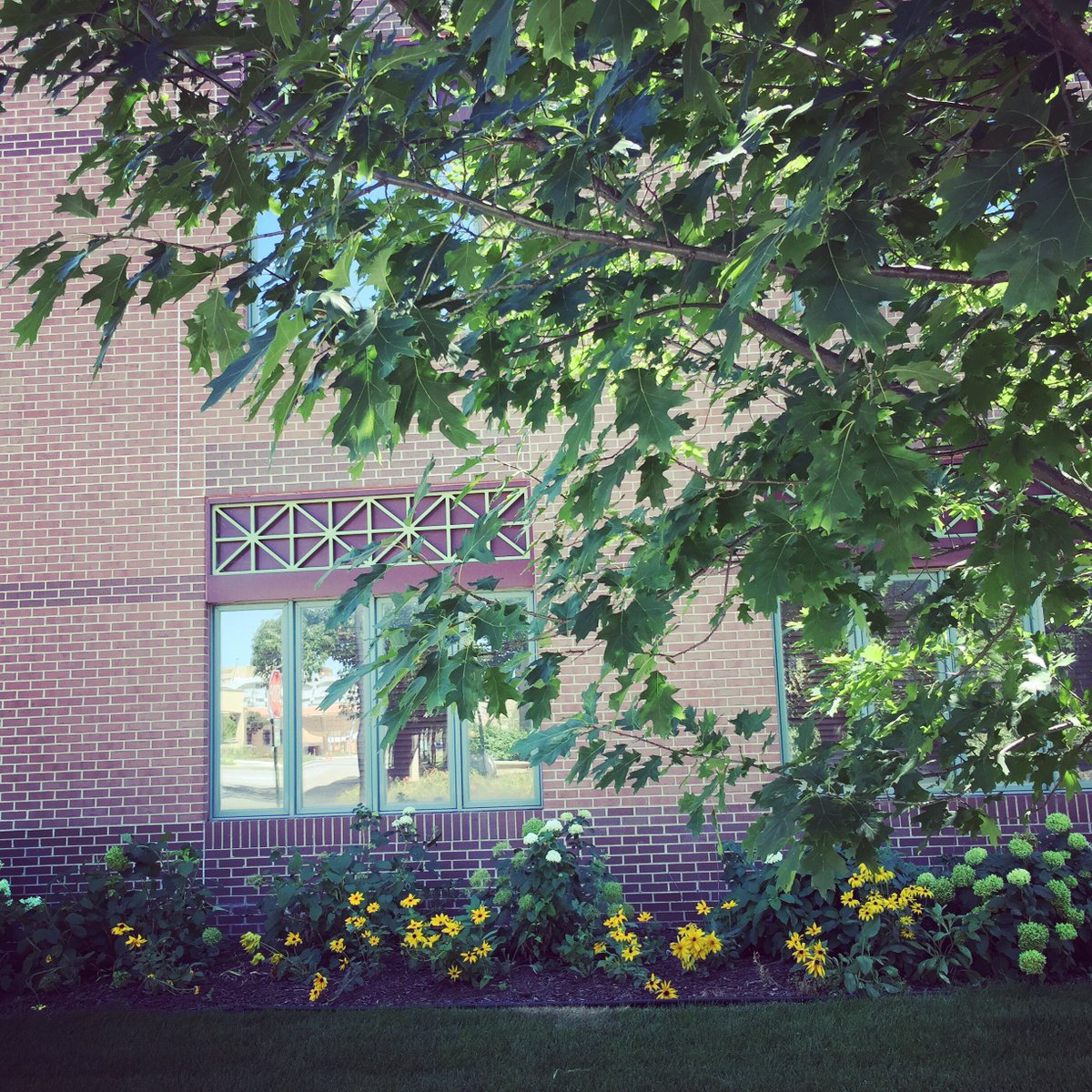 energysavetrees's tweet photo. Trees reduce amount of energy needed to keep homes &amp; offices cool https://t.co/TeHSMH39cm #TreesAreTheKey #PCFDenver https://t.co/Fx0LnOj6er