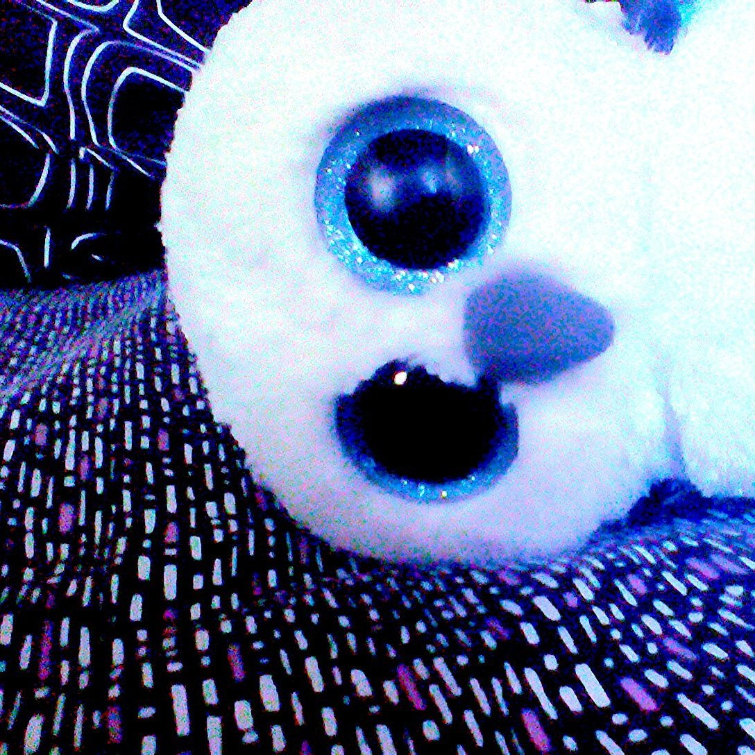 revaurii's tweet image. Owlie owl #owl #myphoto #YESIMWEIRD