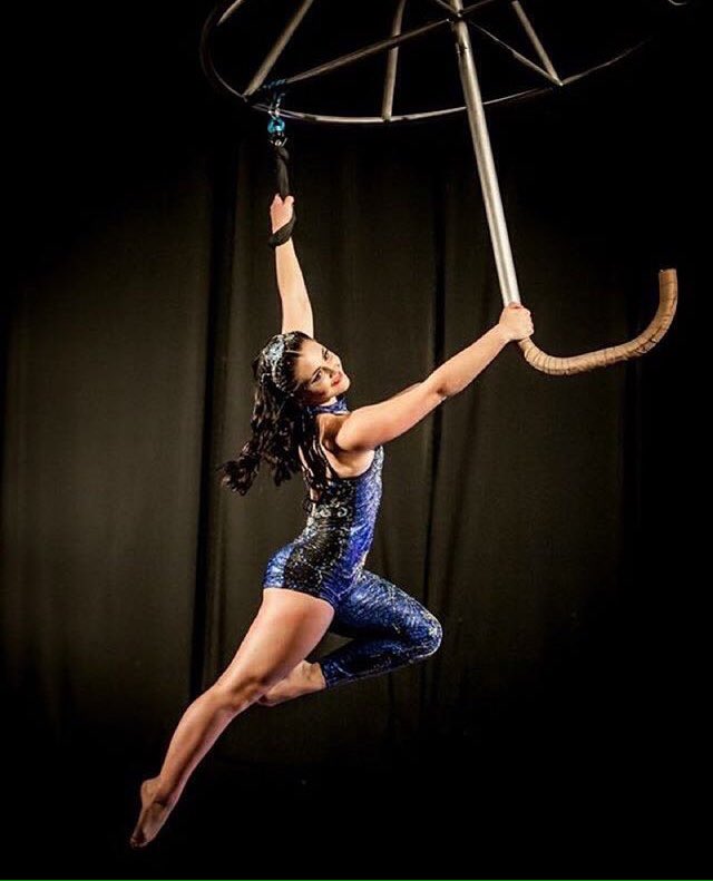 PAWSStudios's tweet photo. Our talented Emma on her new umbrella apparatus! https://t.co/YX8eNEl2g3