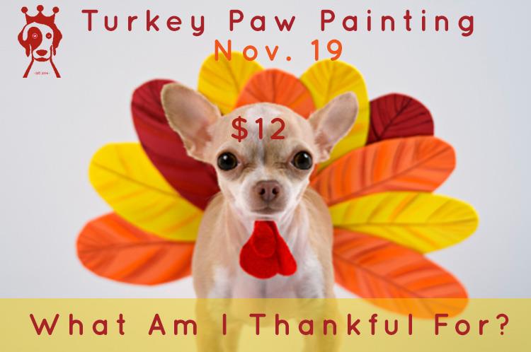 VIPDogHotel's tweet photo. Our turkey painting is tomorrow!! This is one of the dogs favorite activities of the year. Do not let yours miss it. https://t.co/vluEUkrBZE