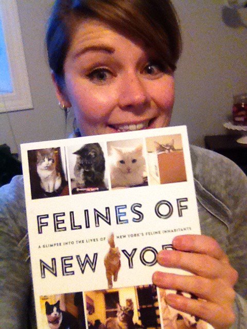 LibrarianJessB's tweet photo. It's here it's here!!! #merrychristmastome #catlady #felinesofnewyork https://t.co/Bl7zEjXnZQ