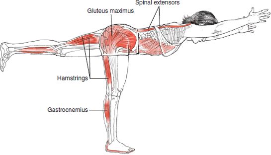 CustomCarePT's tweet image. #Awareness of #MuscleContraction is essential for #ProperFunction. #CustomCare #Fit4Life