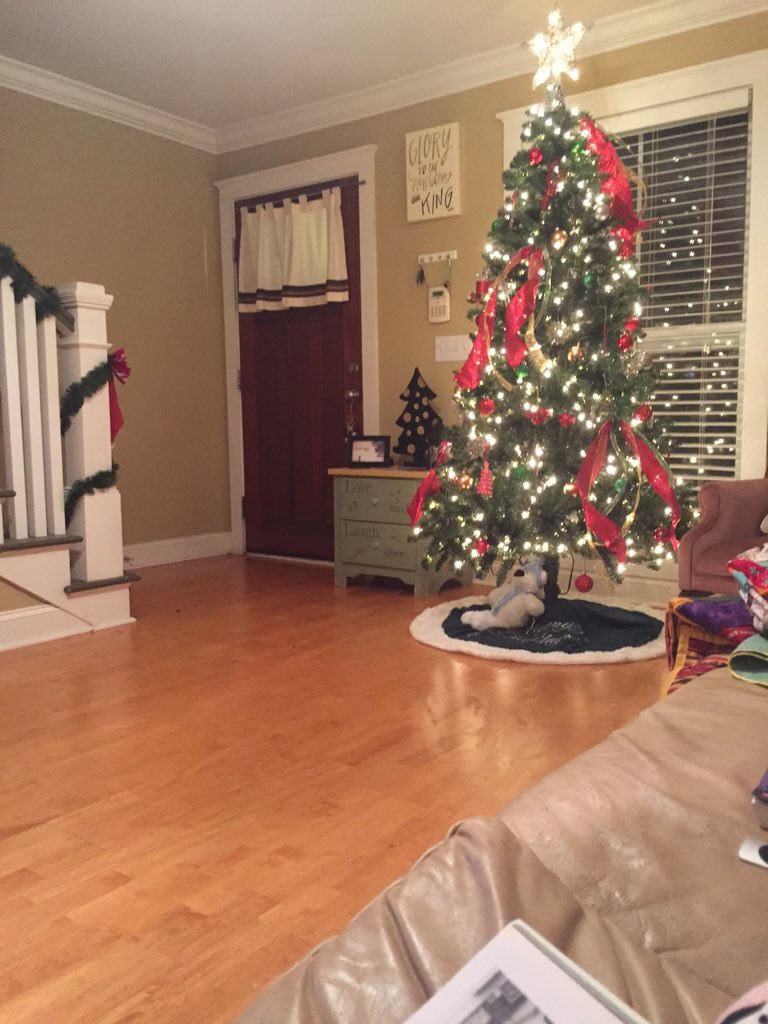 BradyGaGa4's tweet photo. Having to study and take test and write papers when clearly my brain is already on Christmas break 😫😫😫 https://t.co/i3gjatzzME