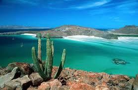downtownlapaz's tweet photo. La Paz está rodeada de un intrigante desierto, con un belleza espectacular y un ecosistema que te deja maravillado. https://t.co/3TW41zVGQE