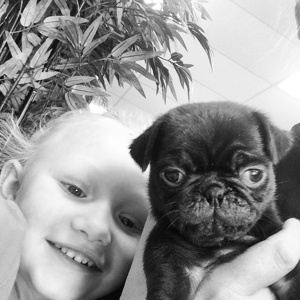 babby farms puppy boutique