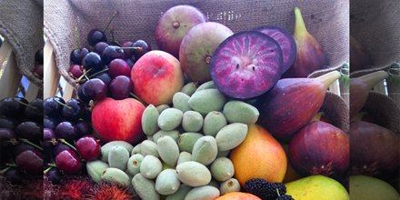 tandfallstates1's tweet photo. A trade fair at Novartis with Outback Pride and
T&F All States fruit and vegetables
#outbackpride #tandfallstates https://t.co/ngezb0ElFi