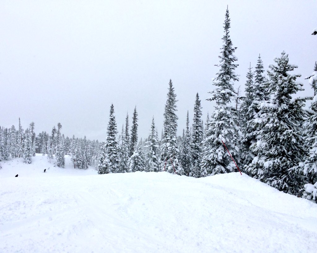 nicolelluellas's tweet photo. Yup I'm in love. @KeystoneMtn https://t.co/KSDkulmi66