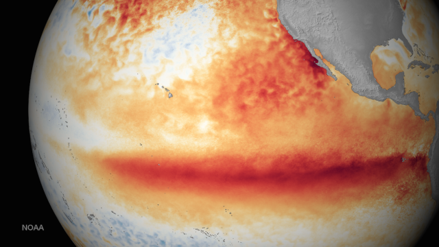GizmodoAU's tweet photo. This Year's Godzilla El Niño Could Be The Worst Ever Recorded https://t.co/YF2vGnp85V https://t.co/LUrTybKzzW