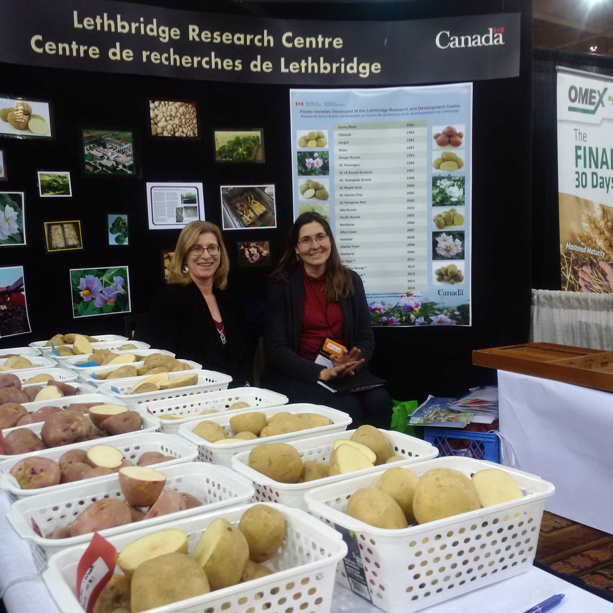 AlbertaPotatoes's tweet image. Hangin out at #APC2015 and playing some #sjoelbak at the Leth Research station booth