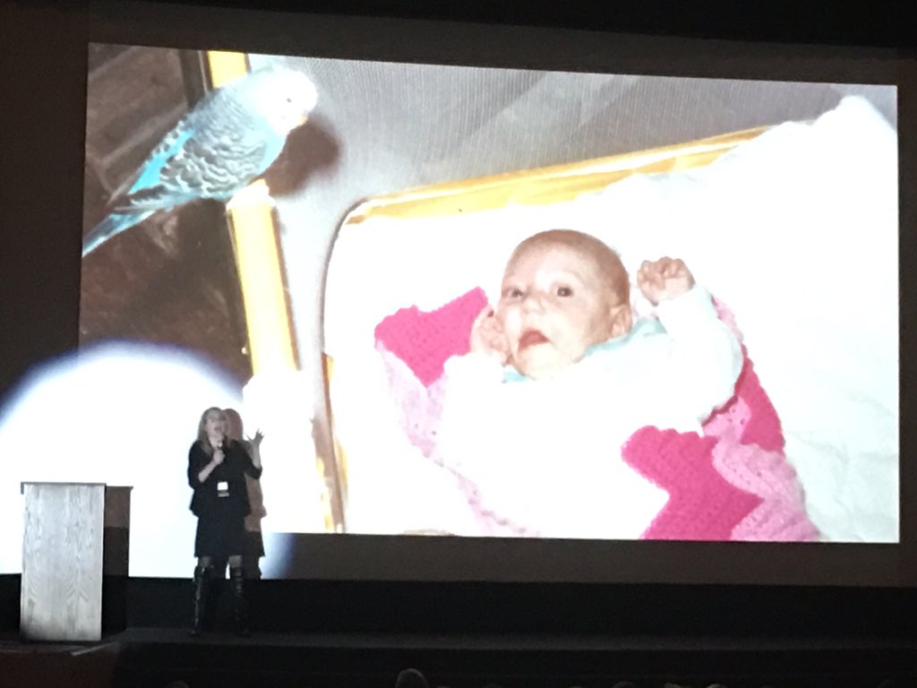 #ignitempls don't look at it in the eyes!