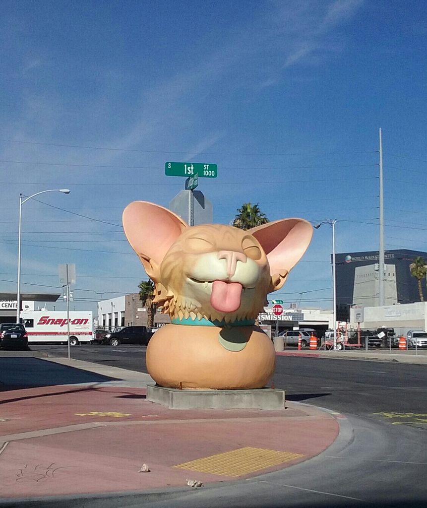 DesertTacocat's tweet photo. That's a big cat @catz_dont @TanyaInAlameda @4nbltruths @originaltacocat @BigEyeBeanieBoo @forever_tron https://t.co/UNq44Puiiv