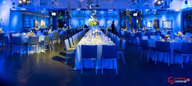 weddingcentral_'s tweet photo. Wedding Theme-The Vivacious Blue
login into https://t.co/yGuNM4v97l
#weddingtheme @BgIndianWedding @OurWeddingChap https://t.co/fMqRLtA1h4