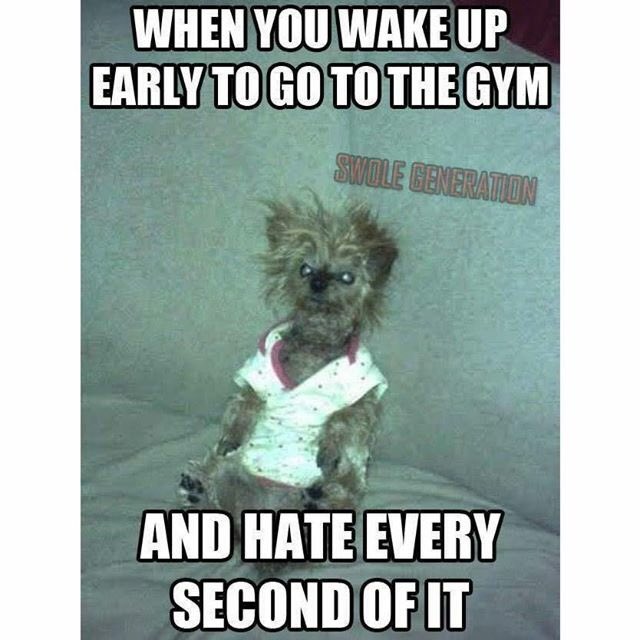 SwoleGeneration's tweet photo. Morning workouts got me like😩😭 #SwoleGeneration https://t.co/CR4PRgI8xI
